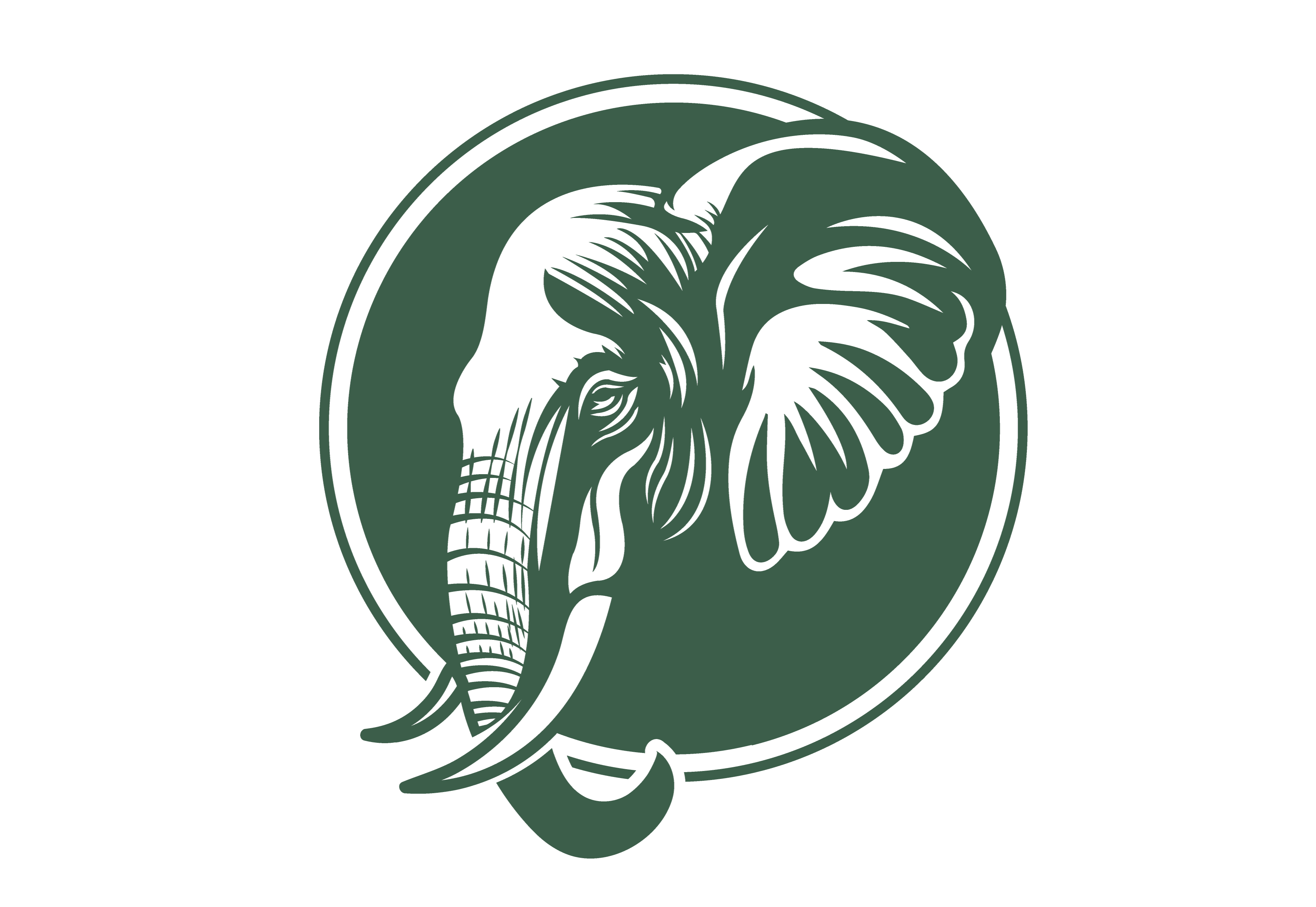 Wise Wash elephant logo